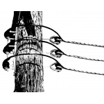 Coated Dead-end